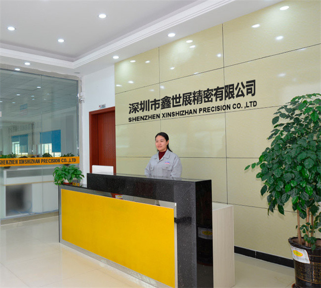Chiny Xinshizhan Precision Co., Ltd. profil firmy